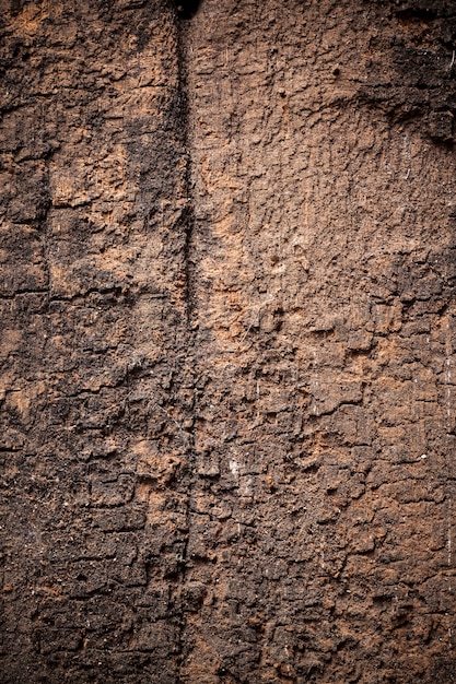 Texture old wood background.