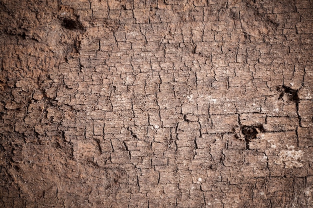 Texture old wood background.