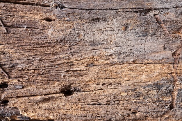 Texture old wood background.