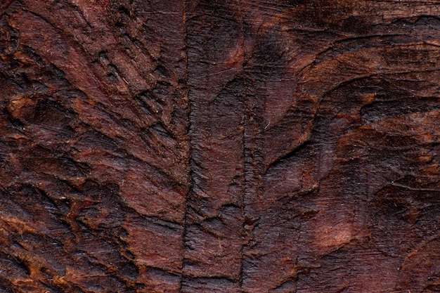 Texture of old wood close-up. Can be used as a background.