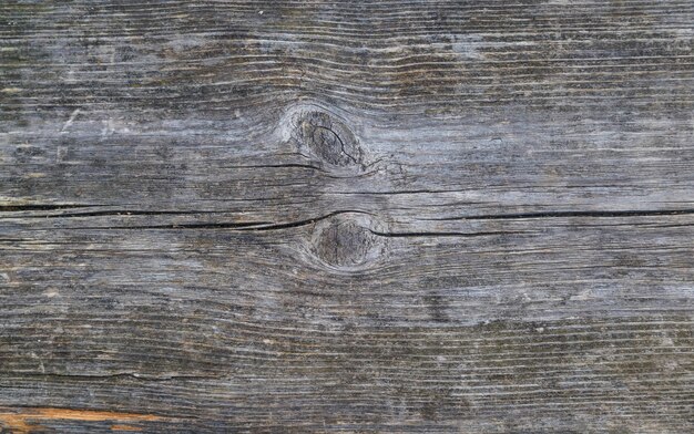 Texture of old wood plank with signs of natural aging. Natural wood texture background.