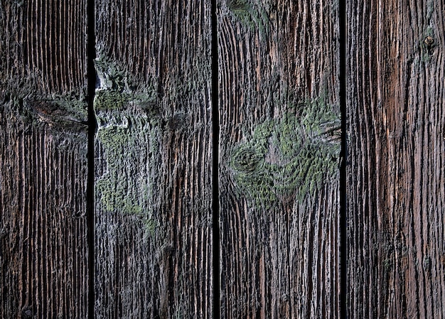 Texture of old wood. Weathered wooden door