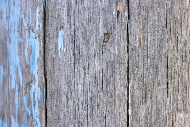 The texture of old wood with patches of peeling blue paint Closeup background for the design