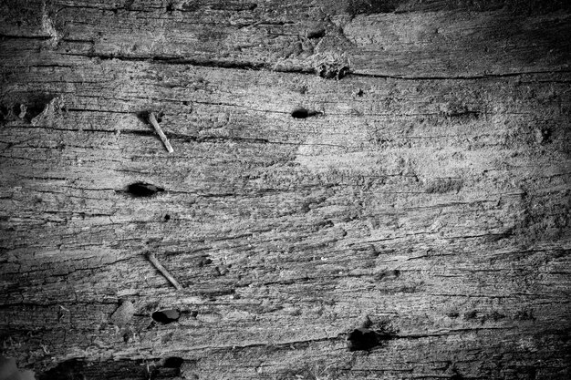 Texture old wood.