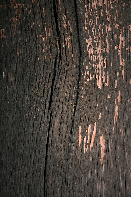 Texture of an old wooden board