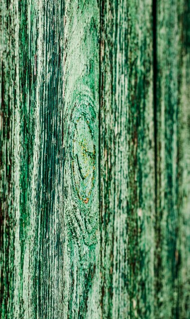 Texture of old wooden heaps of green color