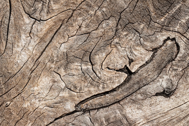 Текстура старого деревянного естественного фона
