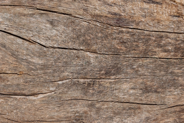 Texture of old wooden natural background