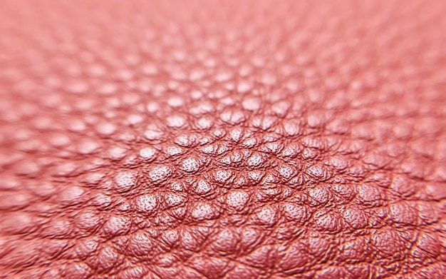 Photo texture of perforated synthetic red eco leather background