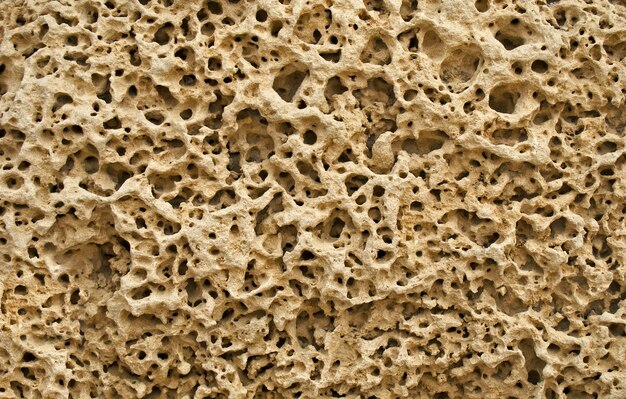 Texture of pitted ancient stone surface.