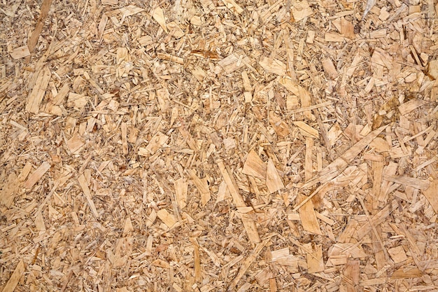 texture of the plywood for the background.