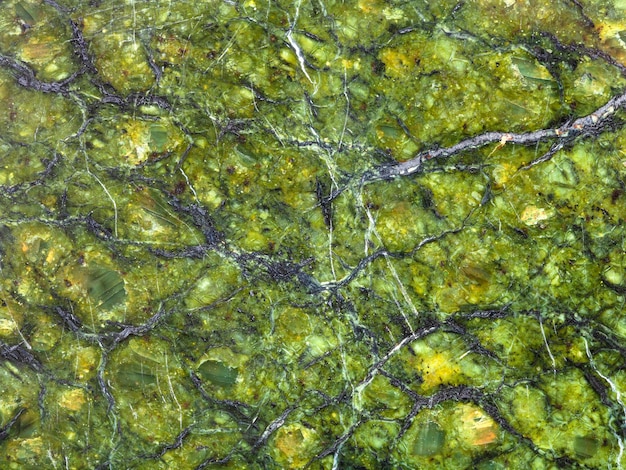 Texture of polished natural serpentinite rock