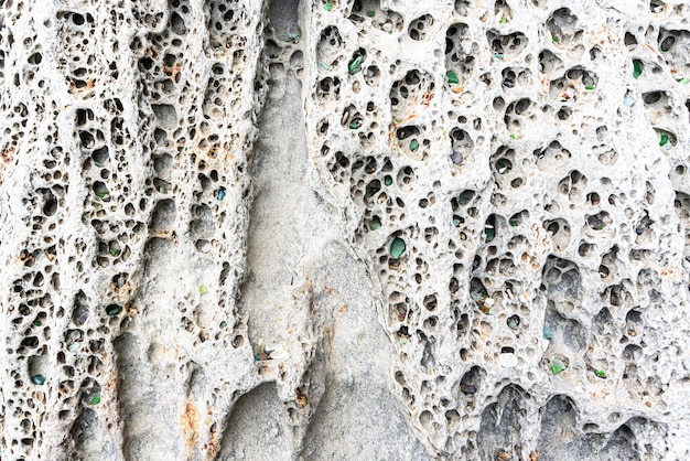 Texture of porous stones on the beach nature natural phenomena
brown gray stones high quality photo