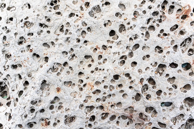 Texture of porous stones on the beach nature natural phenomena
brown gray stones high quality photo