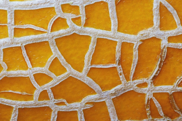 Texture of a ripe melon closeup