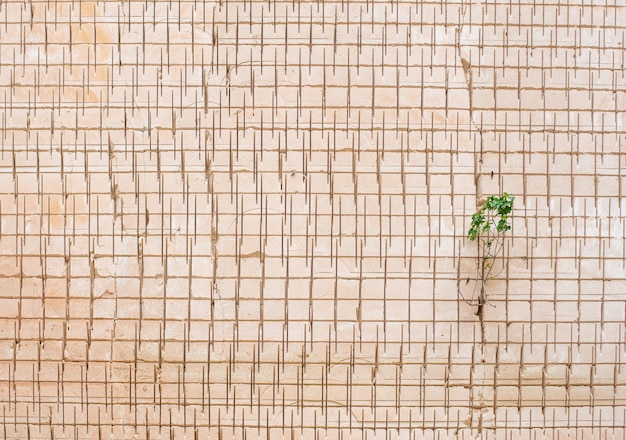 Photo texture of the rock at the sandstone mining site with rhythmic repeating circular saw marks