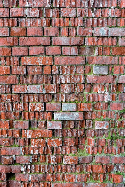 The texture of a ruined red brick wall overgrown with moss The pattern of masonry