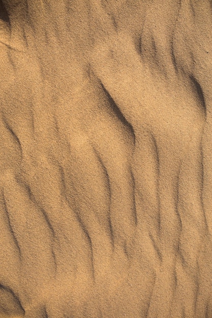 Texture of sand in the desert closeup background A dune with a pattern of sand waves