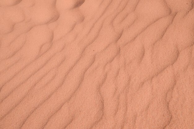 テクスチャ グラン カナリア島スペインの砂丘砂漠