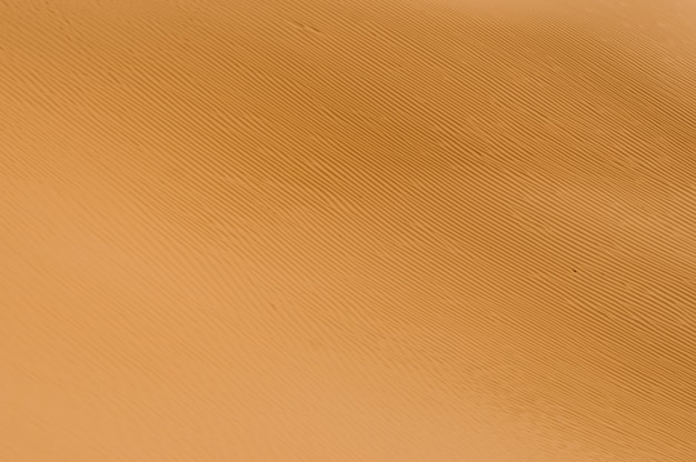 Foto trama nella sabbia dal vento nel deserto