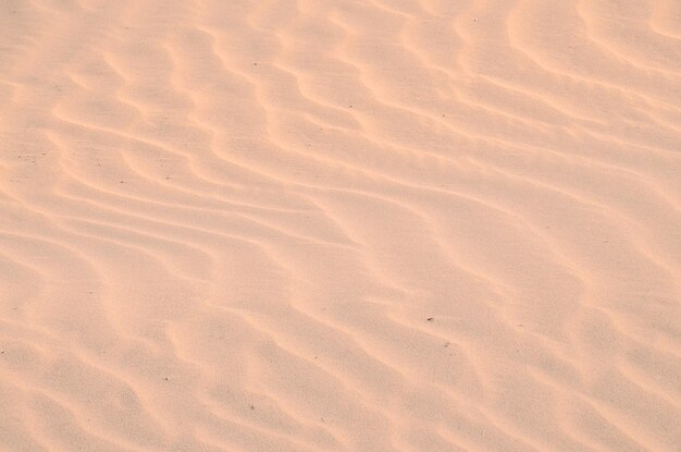 Texture Sand