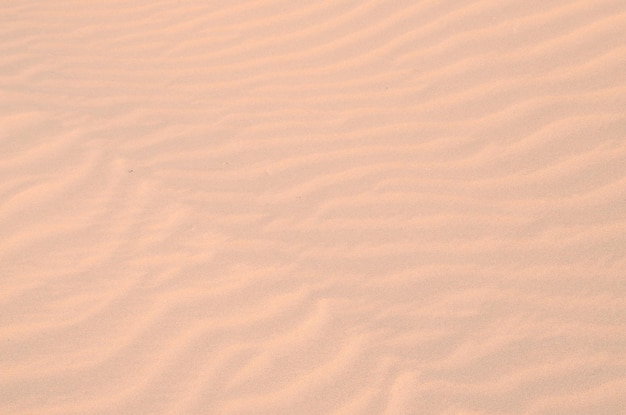 Photo texture sand