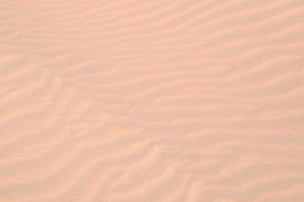 Texture Sand