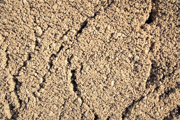 The texture of the sand