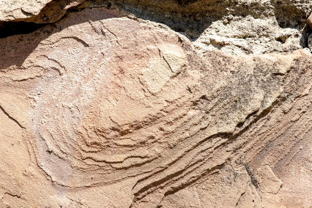 Foto la struttura della pietra arenaria con grani e irregolarità in pieno sole è interessante per i geologi