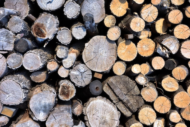 Texture of sawn wood background of stacked firewood