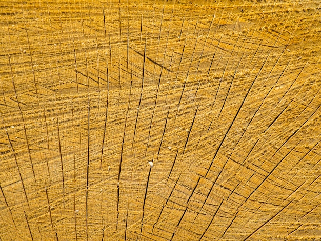 Texture of sawn wood