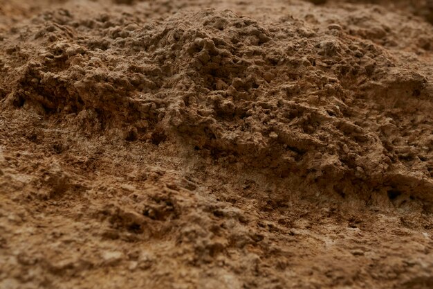 Texture of shell rock and earth closeup