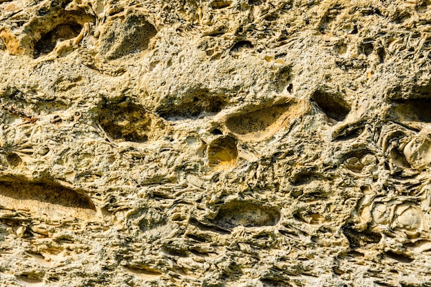 Texture of the shell rock limestone for background. Natural pattern