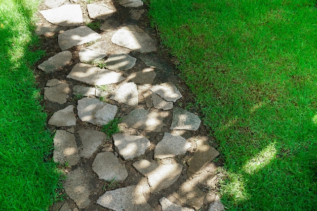 歩道のコンクリートの床の質感と芝生のデザイン、公園内の緑の芝生と石の歩道