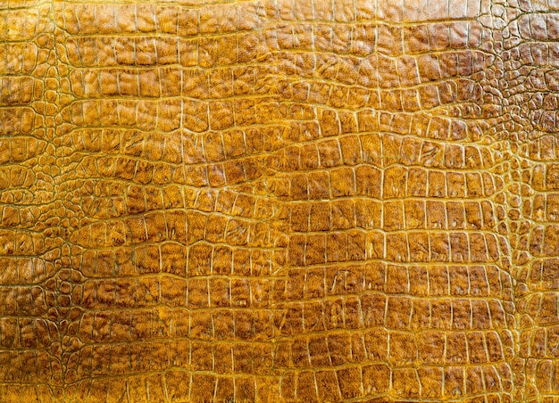 texture skin of brown crocodile leather