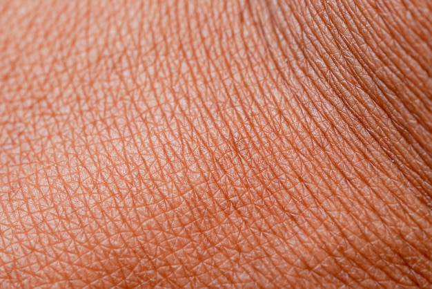 Texture of the skin. Dark skin of woman hand macro. 