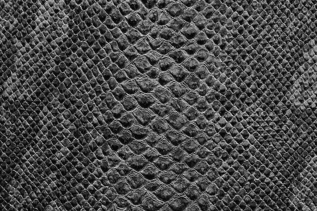 Photo the texture of snake skin