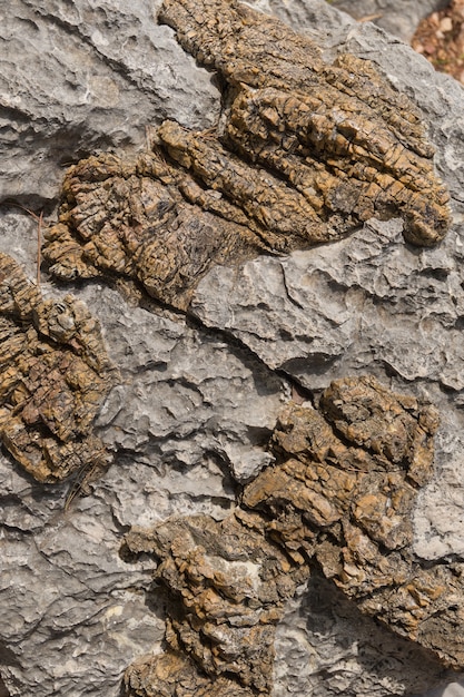 Texture stone of gray and brown colors