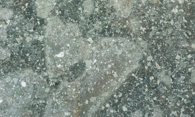 The texture of the stone light grey.