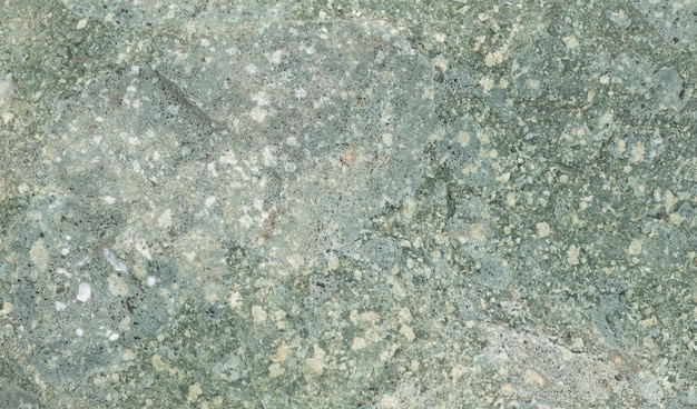 The texture of the stone light grey.