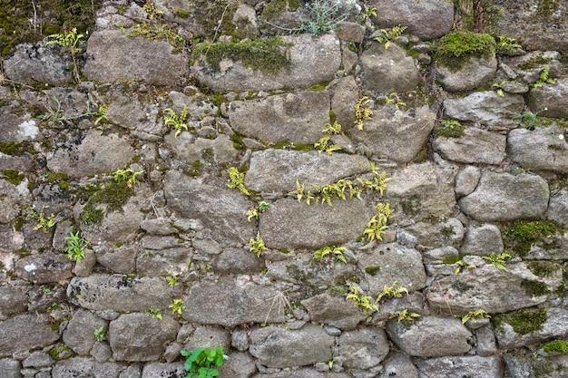 Texture of a stone wall with grass