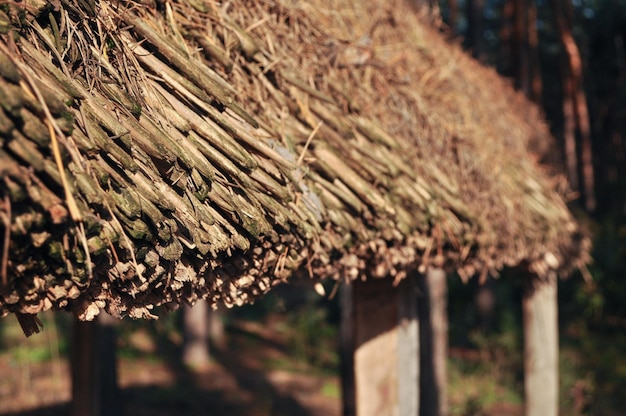 Texture thatched roof