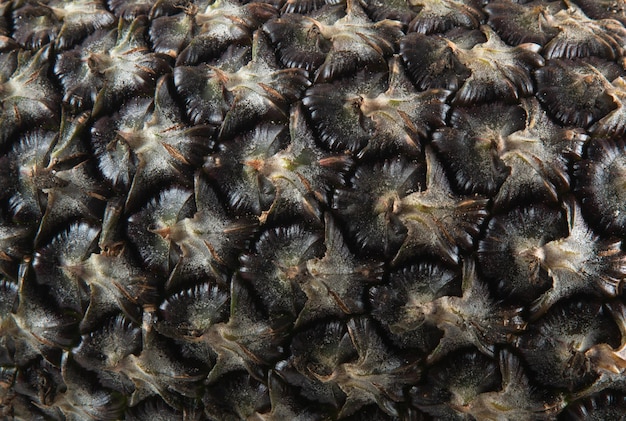 Texture of the tropical fruit pineapple peel