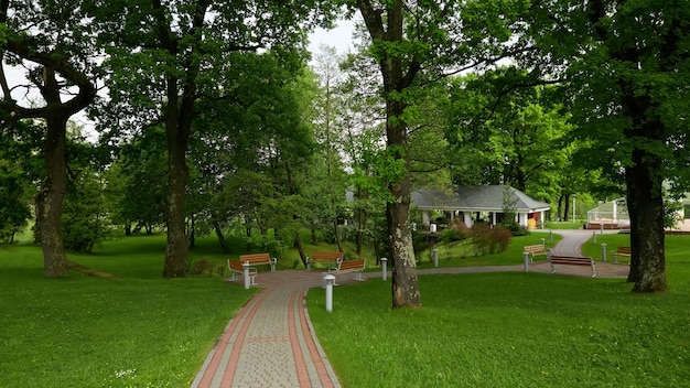 A texture of walk way and green field