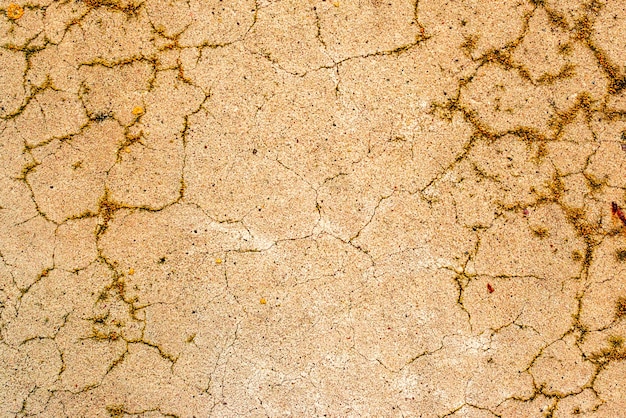 Texture, wall, concrete, it can be used as a background. Wall fragment with scratches and cracks