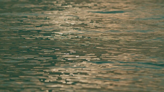 Texture water surface small waves ripples at sunset in summer evening water caustic background