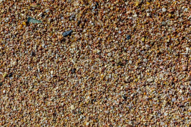Texture of the wet sand for background