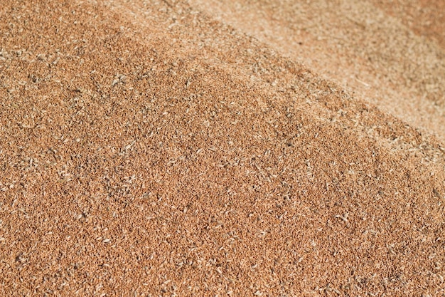 texture of a wheat in bulk for loading and shipping