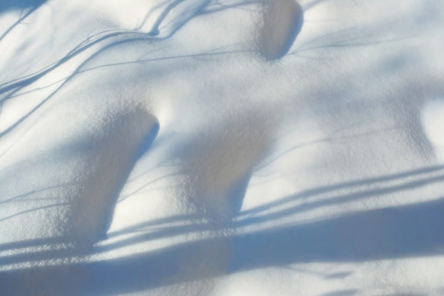 Photo texture of white snow with shadows of trees