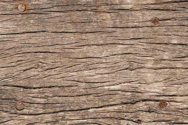 Texture of wood background. Vintage concept.
